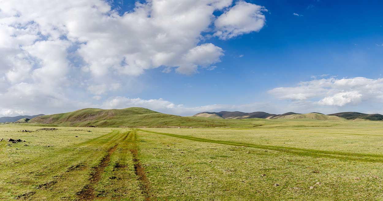 Mongoliet/Mongolia 2014. Resa med Avifauna/Trip with AvifaunaLat: 46.734078N, Long: 101.229822E © Kristian Adolfsson (www.adolfsson.photo)